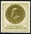 Bayrischer Wehrkraft Verein (Var A - WK 01 oliv)