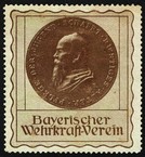 Bayrischer Wehrkraft Verein (Var A - WK 02 braun)