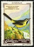 Cailler Serie X No 07 Oiseaux Gebirgsstelze