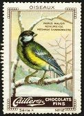 Cailler Serie X No 12 Oiseaux Kohlmeise
