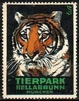 Munchen Tierpark Hellabrunn Tigerkopf Suchodolski